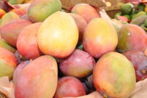 Diputados aprueban proyecto de ley declara municipio de Baní “Capital del Mango”