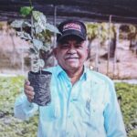 Batista Díaz pondera café genera en RD unas 400 mil intervenciones de trabajos