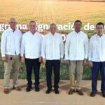 Banreservas destina RD$12,000 millones para financiar producción de arroz 2026-2027