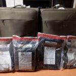Impiden extranjera viaje con presunta cocaína oculta en doble fondo de su equipaje