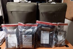 Impiden extranjera viaje con presunta cocaína oculta en doble fondo de su equipaje