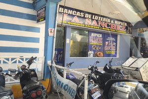 Crece preocupación por proliferación de agencias hípicas y falta de control