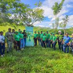 Edeeste y Medio Ambiente realizan reforestación en El Seibo con siembra de mas de 500 plantas